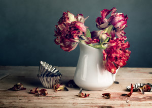 Still Life with Tulips